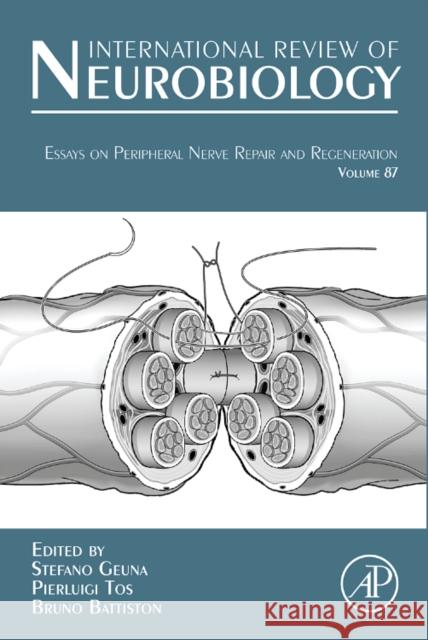 Essays on Peripheral Nerve Repair and Regeneration: Volume 87 Geuna, Stefano 9780123750846 ELSEVIER SCIENCE & TECHNOLOGY - książka