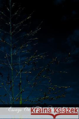 Essays On The Apocalypse Ratton, James J. L. 9781470000769 Createspace - książka