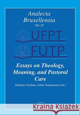 Essays on Theology, Meaning, and Pastoral Care Johannes Taschner Johan Temmerman 9783643910240 Lit Verlag - książka