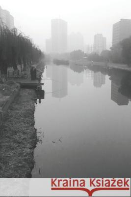 Essays: revised Johnson, Charles Matthew 9798605306559 Independently published - książka