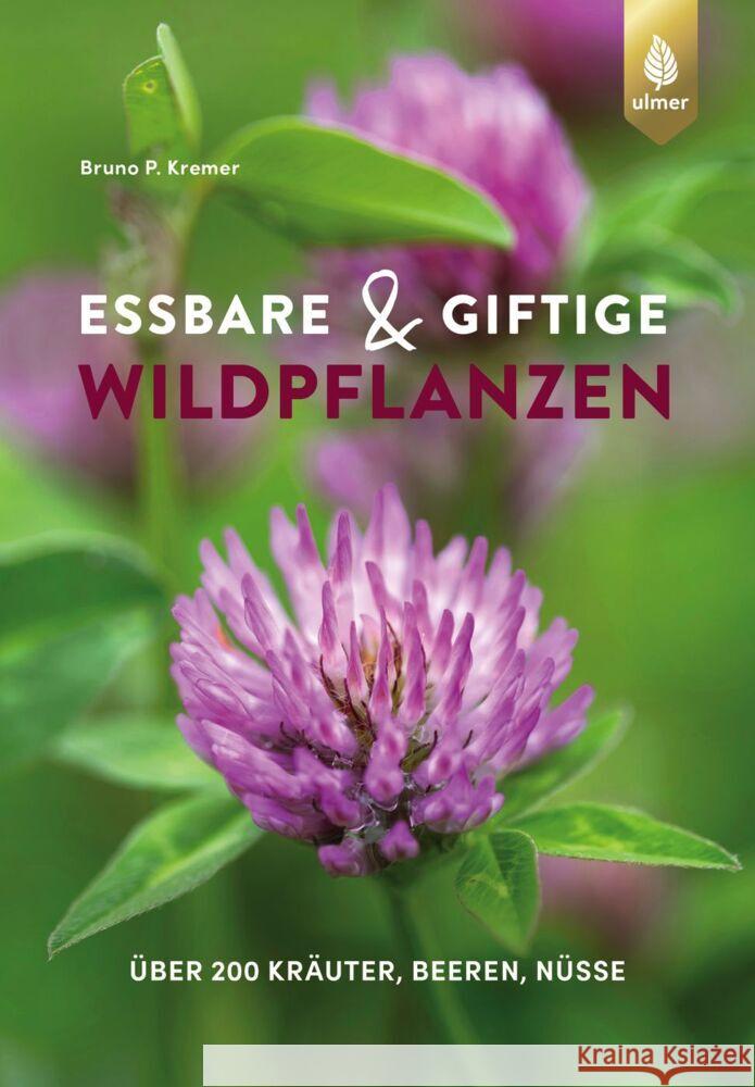 Essbare und giftige Wildpflanzen Kremer, Bruno P. 9783818617660 Verlag Eugen Ulmer - książka