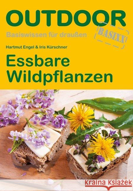 Essbare Wildpflanzen Engel, Hartmut; Kürschner, Iris 9783866863934 Stein (Conrad) - książka