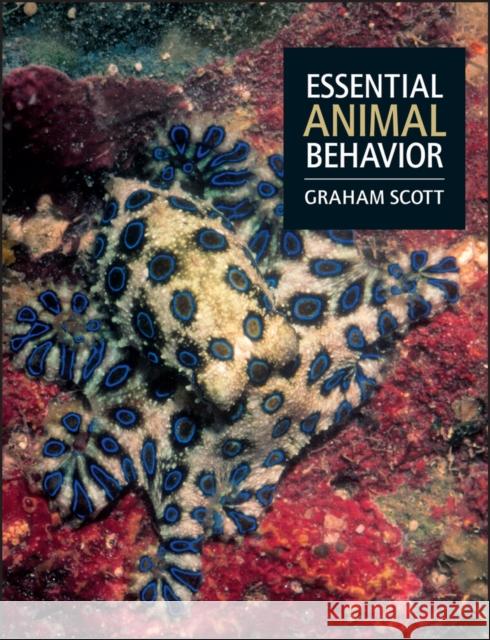 Essential Animal Behavior Graham Scott 9780632057993  - książka