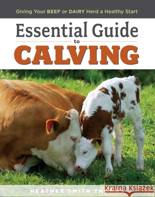 Essential Guide to Calving: Giving Your Beef or Dairy Herd a Healthy Start Thomas, Heather Smith 9781580177061 Storey Publishing - książka