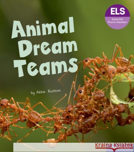 Essential Letters and Sounds: Essential Phonic Readers: Oxford Reading Level 6: Animal Dream Teams Abbie Rushton 9781382055871 Oxford University Press - książka