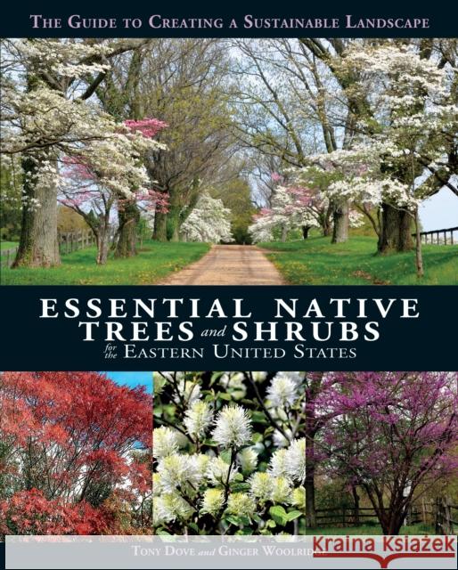 Essential Native Trees and Shrubs for the Eastern United States: The Guide to Creating a Sustainable Landscape Tony Dove Ginger Woolridge 9781623545031 Imagine - książka