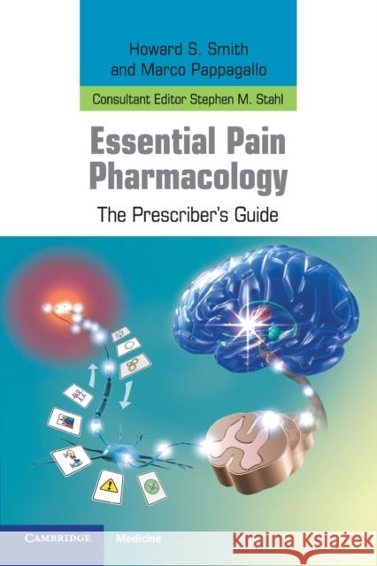 Essential Pain Pharmacology Smith, Howard S. 9780521759106 CAMBRIDGE UNIVERSITY PRESS - książka