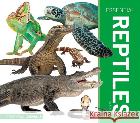 Essential Reptiles K. A. Hale 9781532195556 Essential Library - książka