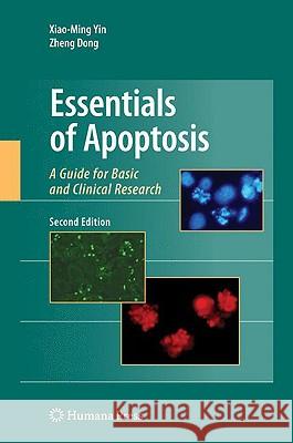 Essentials of Apoptosis: A Guide for Basic and Clinical Research Yin, Xiao-Ming 9781603273800 Springer - książka