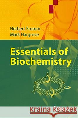 Essentials of Biochemistry Herbert J. Fromm, Mark Hargrove 9783642196232 Springer-Verlag Berlin and Heidelberg GmbH &  - książka