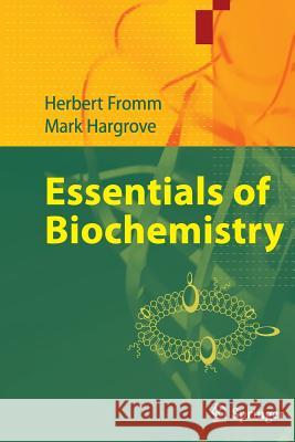 Essentials of Biochemistry Herbert J. Fromm Mark S. Hargrove 9783662519424 Springer - książka