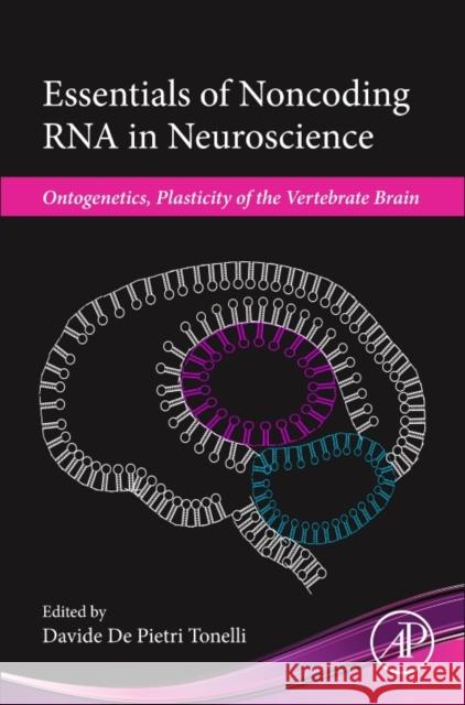 Essentials of Noncoding RNA in Neuroscience: Ontogenetics, Plasticity of the Vertebrate Brain Davide D 9780128044025 Academic Press - książka