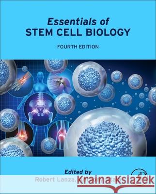 Essentials of Stem Cell Biology Robert Lanza Anthony Atala 9780443154201 Academic Press - książka