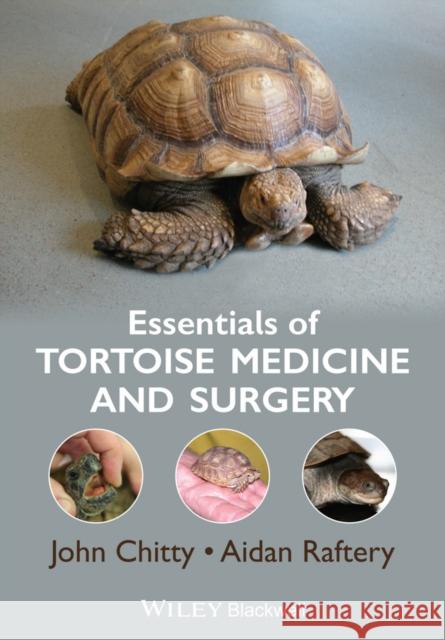 Essentials of Tortoise Medicine and Surgery Chitty, John; Raftery, Aidan 9781405195447 John Wiley & Sons - książka