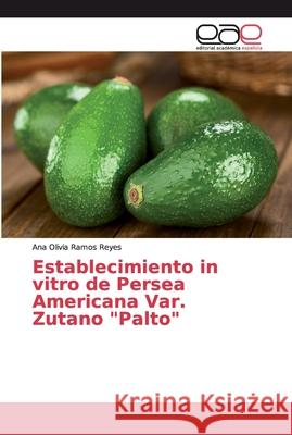 Establecimiento in vitro de Persea Americana Var. Zutano Palto Ramos Reyes, Ana Olivia 9786202159944 Editorial Académica Española - książka