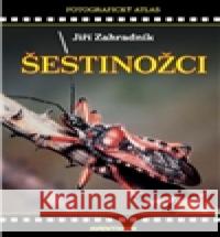 Šestinožci Jiří Zahradník 9788074420177 Aventinum - książka