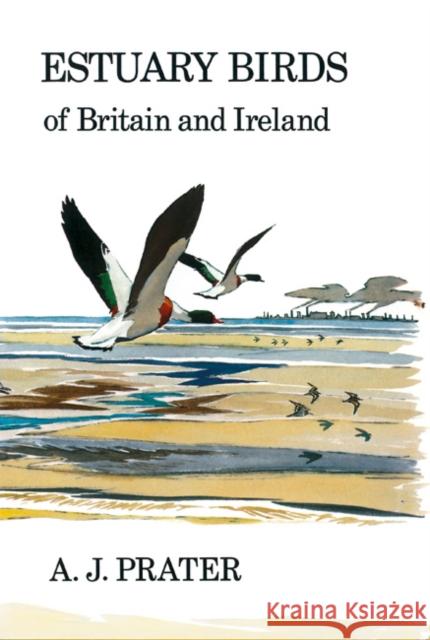 Estuary Birds of Britain and Ireland A.J Prater 9781408138496 Bloomsbury Publishing PLC - książka