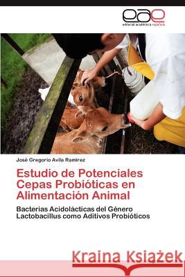 Estudio de Potenciales Cepas Probióticas en Alimentación Animal Avila Ramírez José Gregorio 9783845489315 Editorial Acad Mica Espa Ola - książka