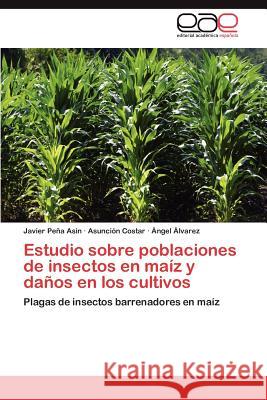 Estudio sobre poblaciones de insectos en maíz y daños en los cultivos Peña Asín Javier 9783847356561 Editorial Acad Mica Espa Ola - książka