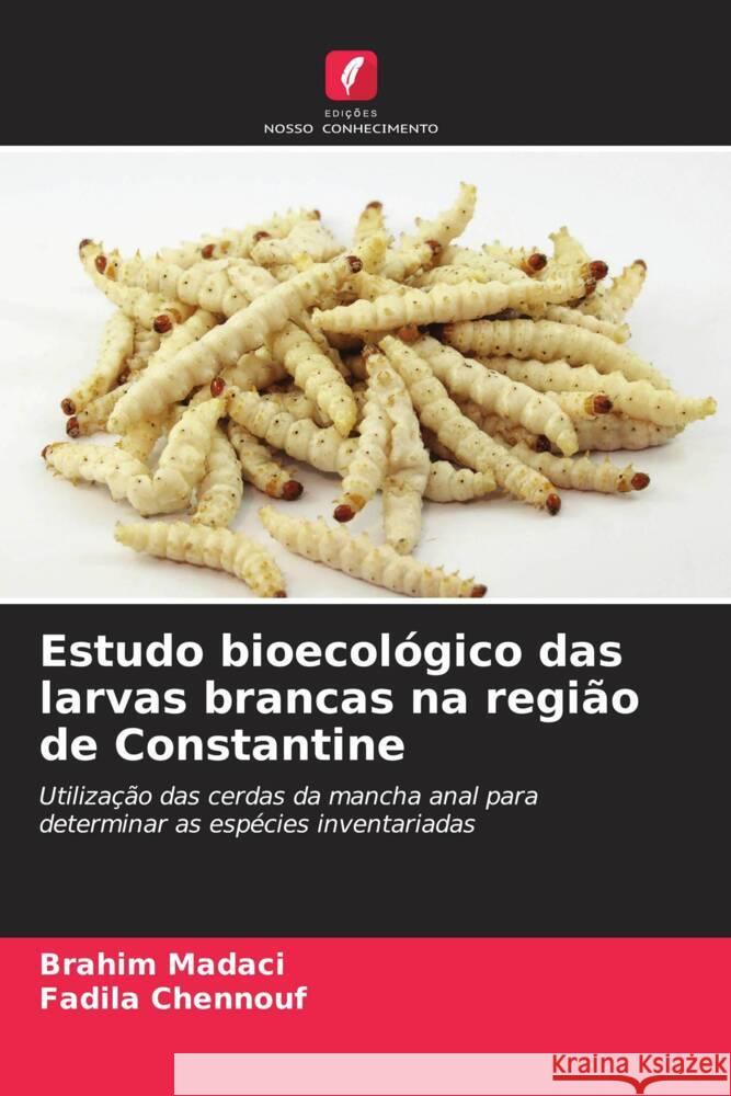 Estudo bioecológico das larvas brancas na região de Constantine Madaci, Brahim, Chennouf, Fadila 9786206257370 Edições Nosso Conhecimento - książka