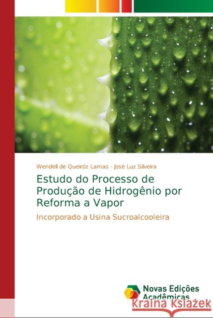 Estudo do Processo de Produção de Hidrogênio por Reforma a Vapor Lamas, Wendell de Queiróz 9786139612482 Novas Edicoes Academicas - książka