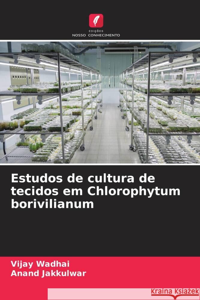 Estudos de cultura de tecidos em Chlorophytum borivilianum Vijay Wadhai Anand Jakkulwar 9786207177660 Edicoes Nosso Conhecimento - książka