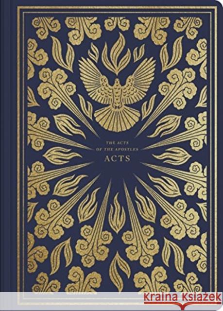 ESV Illuminated Scripture Journal: Acts (Paperback)  9781433564864 Crossway Books - książka