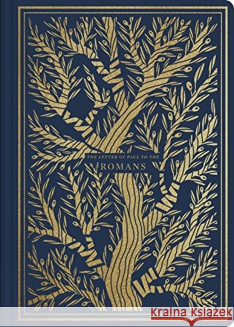 ESV Illuminated Scripture Journal: Romans (Paperback)  9781433564819 Crossway Books - książka