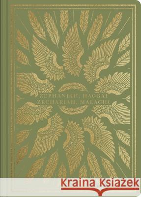ESV Illuminated Scripture Journal: Zephaniah, Haggai, Zechariah, and Malachi (Paperback)  9781433569128 Crossway Books - książka