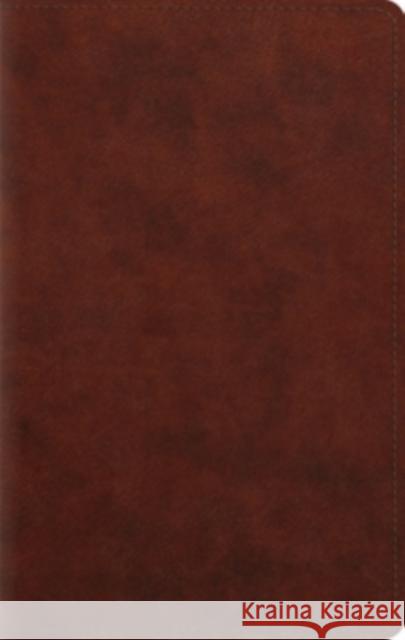 ESV Large Print Personal Size Bible  9781433541544 Crossway Books - książka