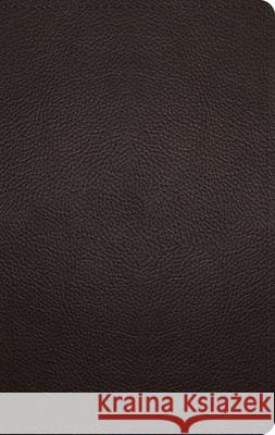 ESV Large Print Personal Size Bible, Red Letter  9781433572029 Crossway Books - książka