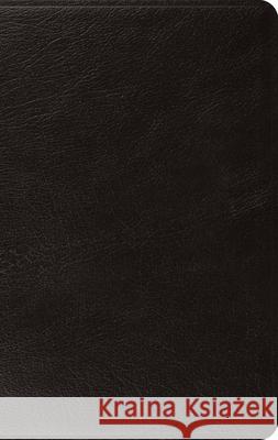 ESV Large Print Thinline Bible  9781433555961 Crossway Books - książka