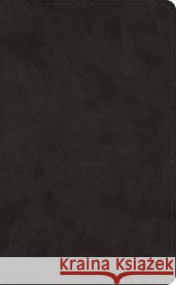 ESV Pocket Bible  9781433568831 Crossway Books - książka