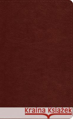 ESV Pocket Bible  9781433568848 Crossway Books - książka