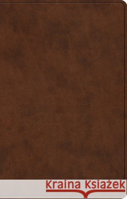 ESV Premium Gift Bible  9798874903114 Crossway Books - książka