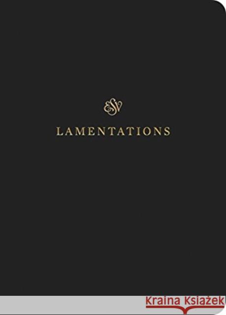 ESV Scripture Journal: Lamentations  9781433546617 Crossway Books - książka