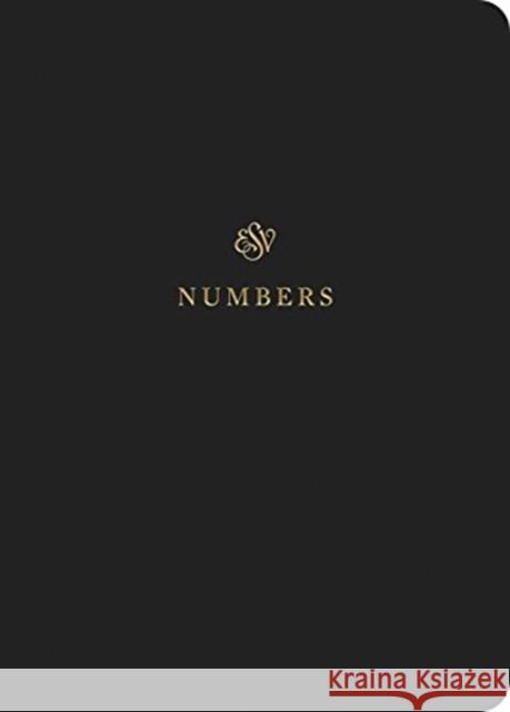 ESV Scripture Journal: Numbers  9781433546334 Crossway Books - książka