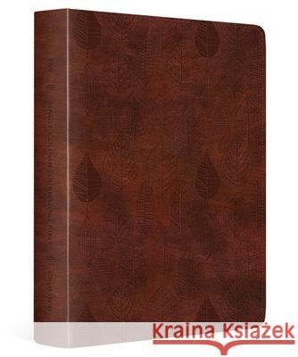 ESV Single Column Journaling Bible  9798874900335 Crossway Books - książka