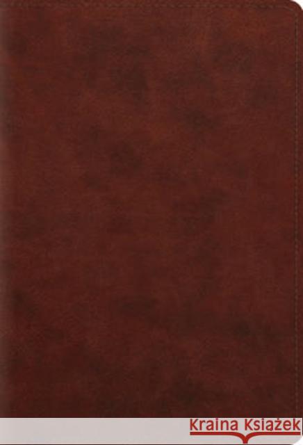 ESV Student Study Bible  9781433556258 Crossway Books - książka