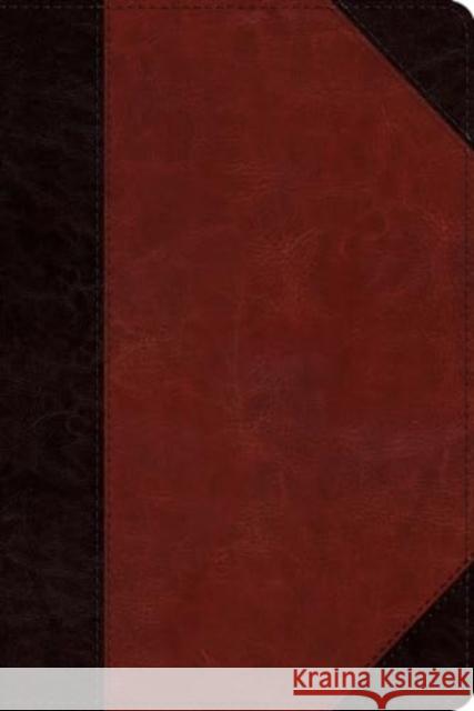 ESV Study Bible, Personal Size  9781433593239  - książka