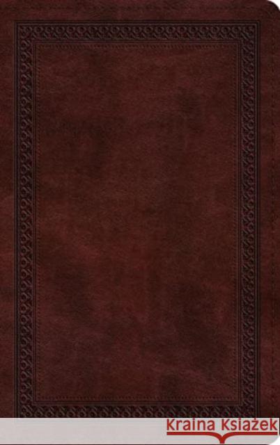 ESV Thinline Bible  9781433587108 Crossway - książka