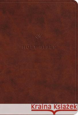 ESV Value Large Print Compact Bible  9798874903084 Crossway Books - książka