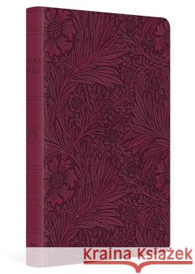 ESV Value Thinline Bible  9781433589621 Crossway - książka