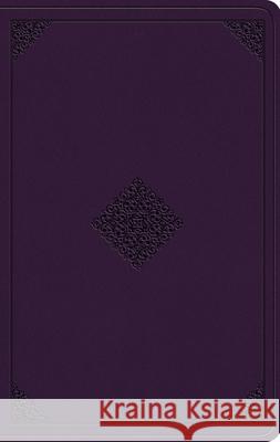 ESV Value Thinline Bible  9798874903343 Crossway Books - książka