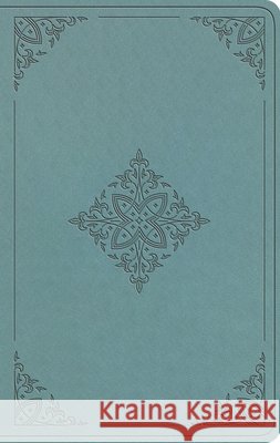 ESV Value Thinline Bible  9798874903367 Crossway Books - książka