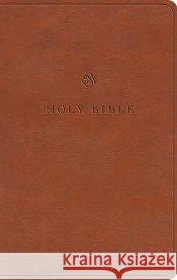 ESV Value Thinline Bible  9798874903374 Crossway Books - książka