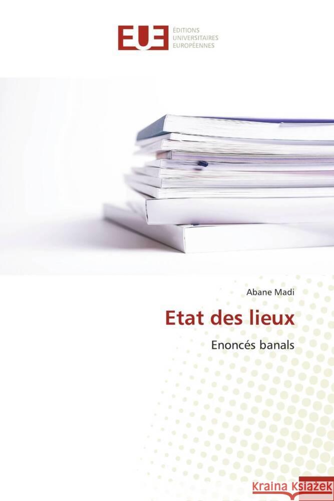 Etat des lieux Abane Madi 9786206710325 Editions Universitaires Europeennes - książka
