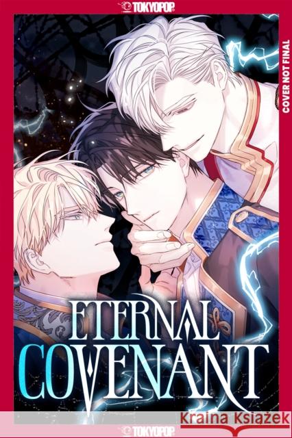 Eternal Covenant, Volume 3 Haejin 9781427886163 Lovelove - książka