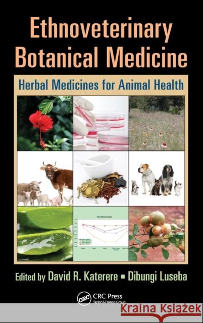 Ethnoveterinary Botanical Medicine: Herbal Medicines for Animal Health Katerere, David R. 9781420045604 Taylor & Francis - książka