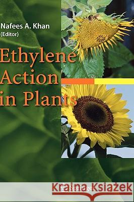 Ethylene Action in Plants Nafees A. Khan 9783540327165 Springer - książka